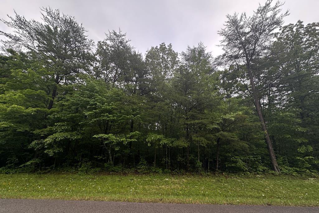 Image 1 Image 1