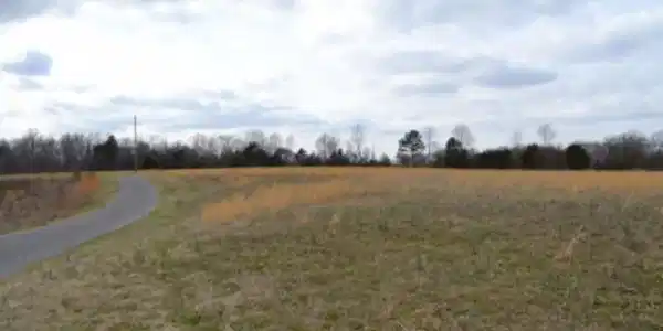 Image 4 Image 4