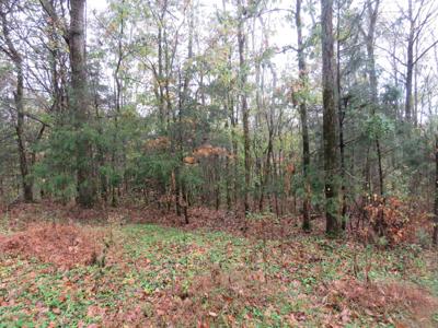0 Hilltop Lane
