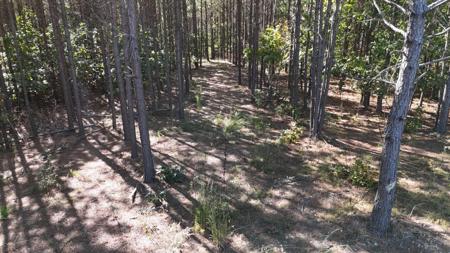 111 Hillbrook Dr