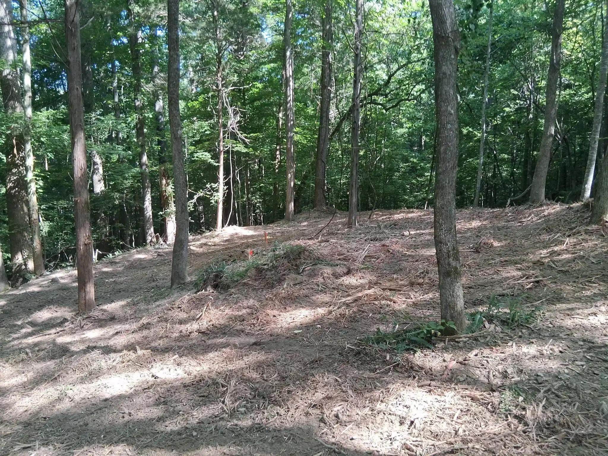 Image 1 Image 1