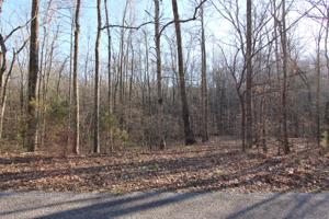 11 Cox Hollow Rd.