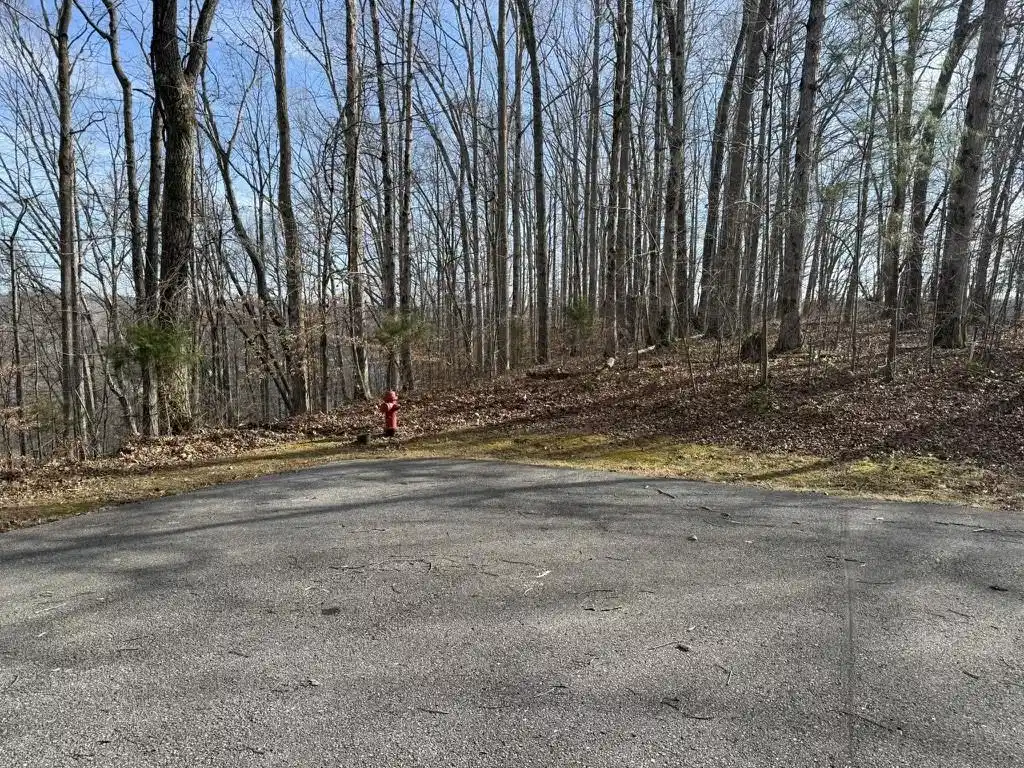 Image 1 Image 1