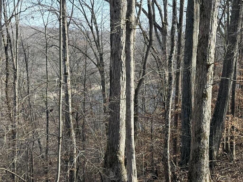 Image 2 Image 2