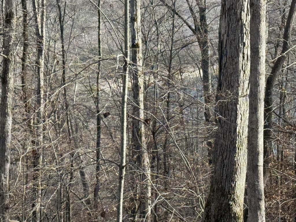 Image 3 Image 3