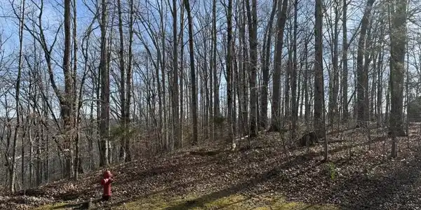 Image 4 Image 4
