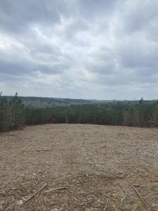 0 Old Hohenwald Rd