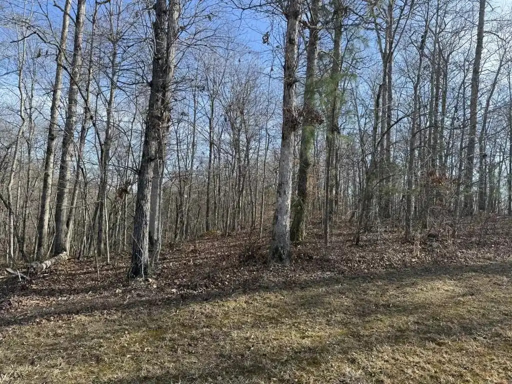 Image 1 Image 1