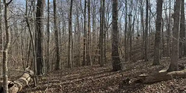 Image 3 Image 3