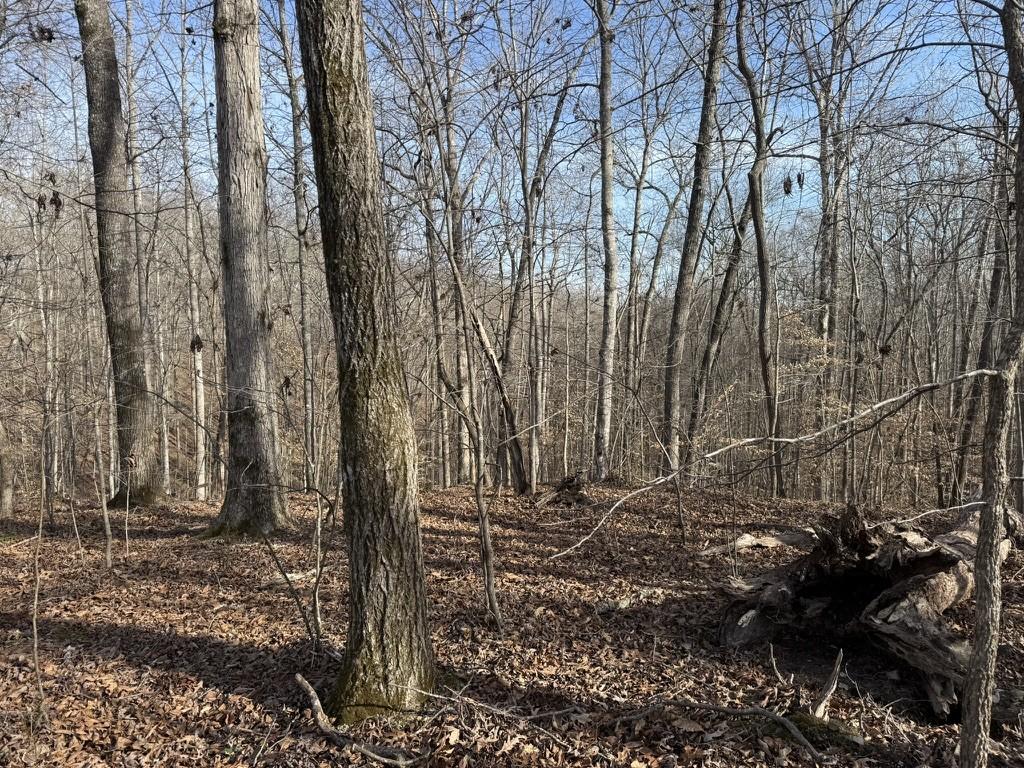 Image 4 Image 4