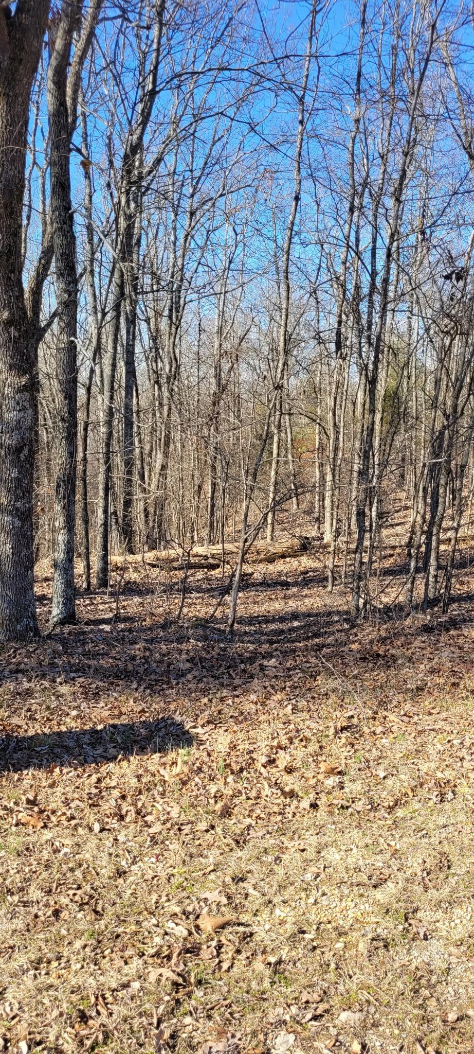 Image 3 Image 3