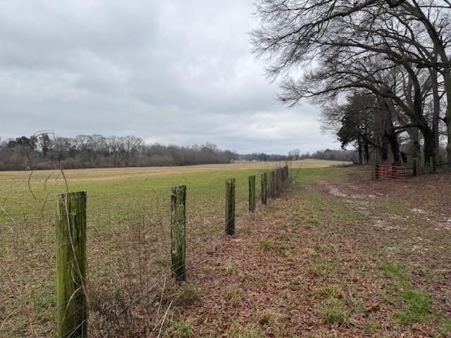 Image 4 Image 4