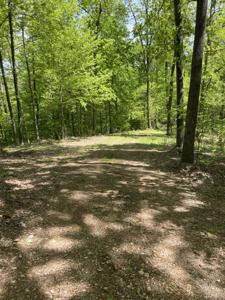 0 Hurricane Creek Rd