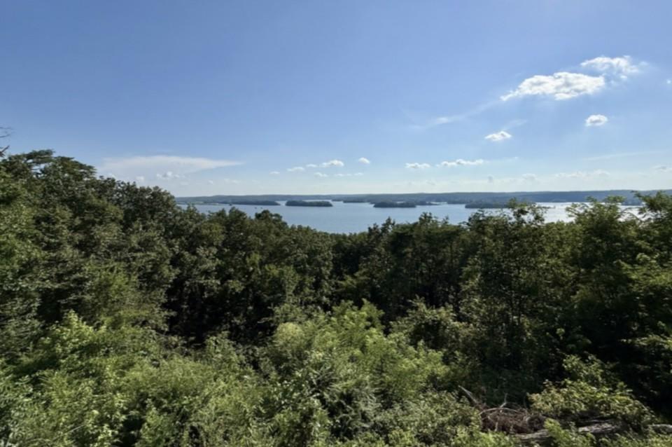 Image 1 Image 1