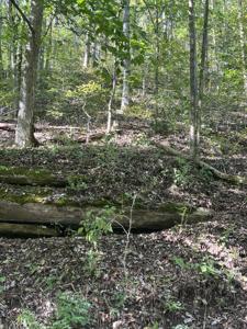 0 NEELEY CREEK RD