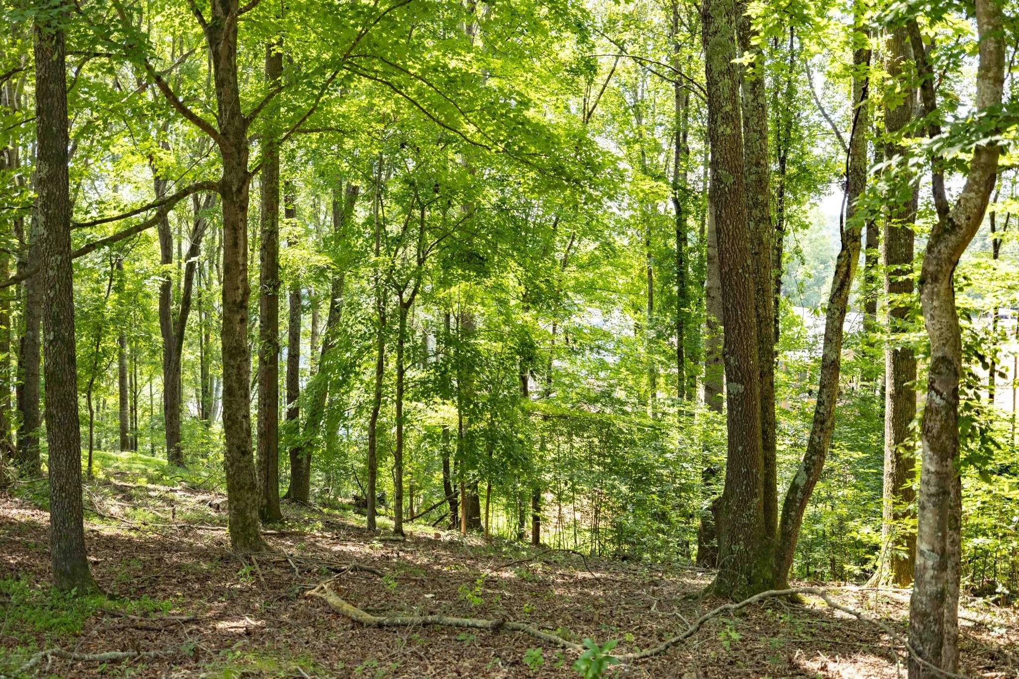 Image 3 Image 3