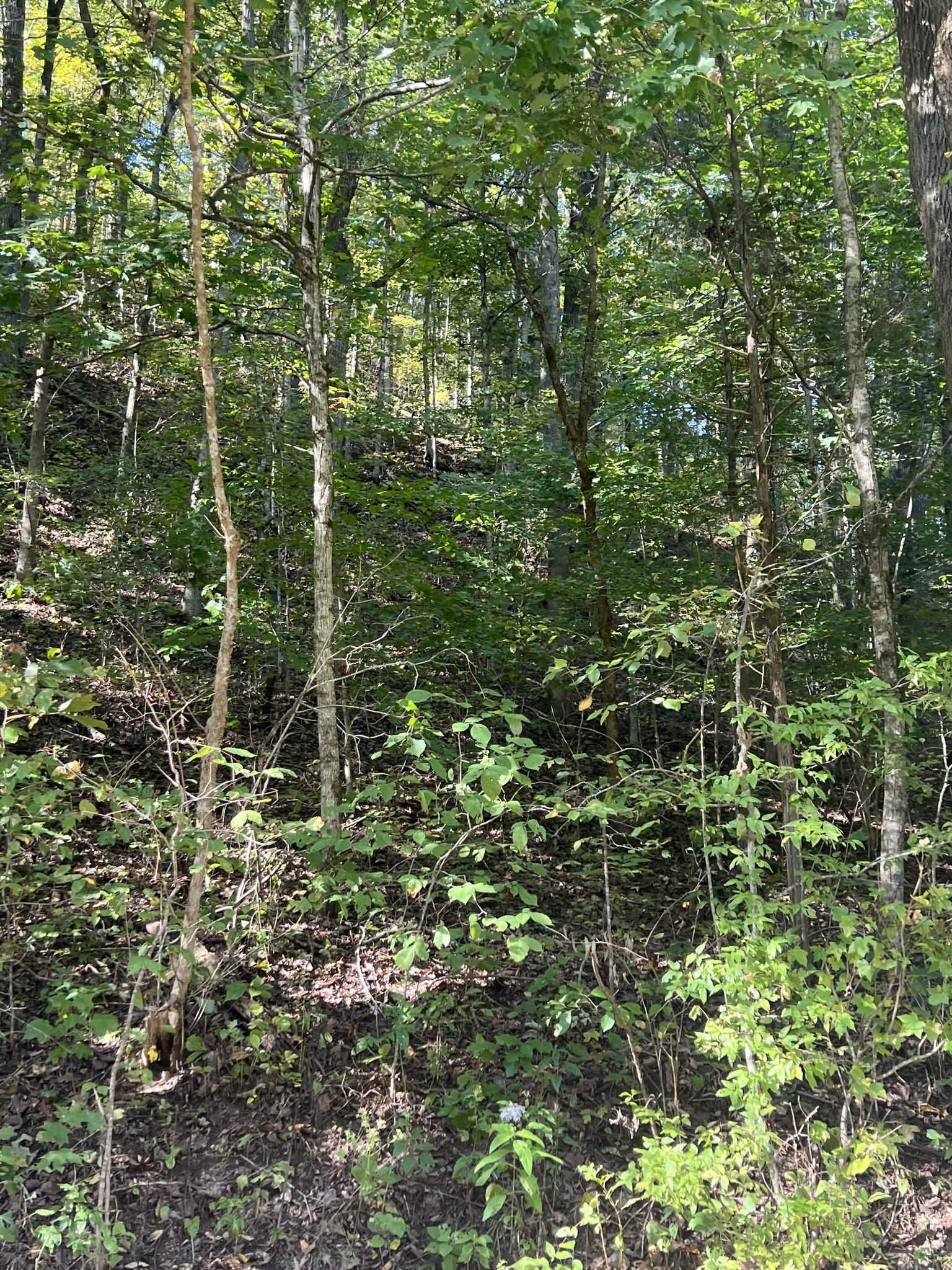 Image 3 Image 3