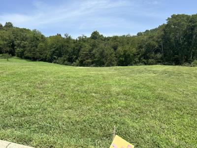 308 Grand View Cir