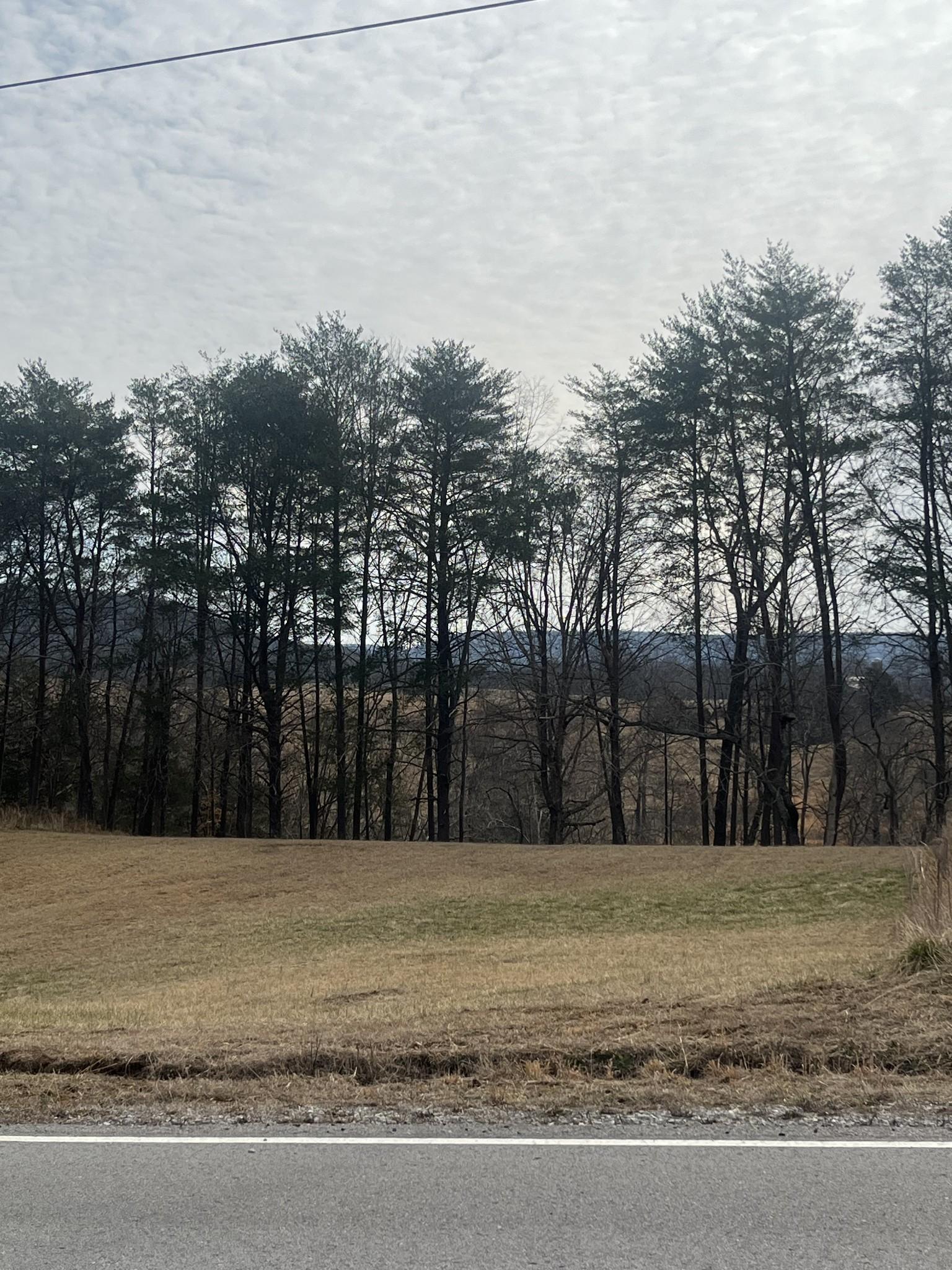 Image 2 Image 2