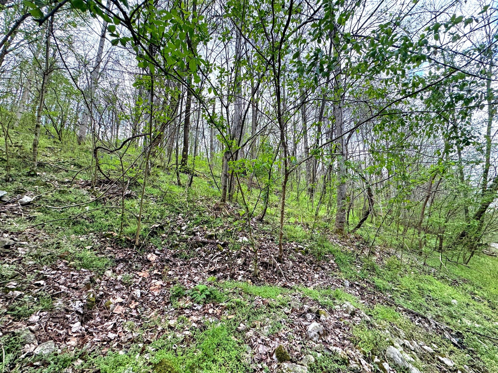Image 4 Image 4