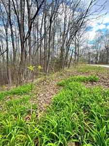 0 Coconut Ridge Rd