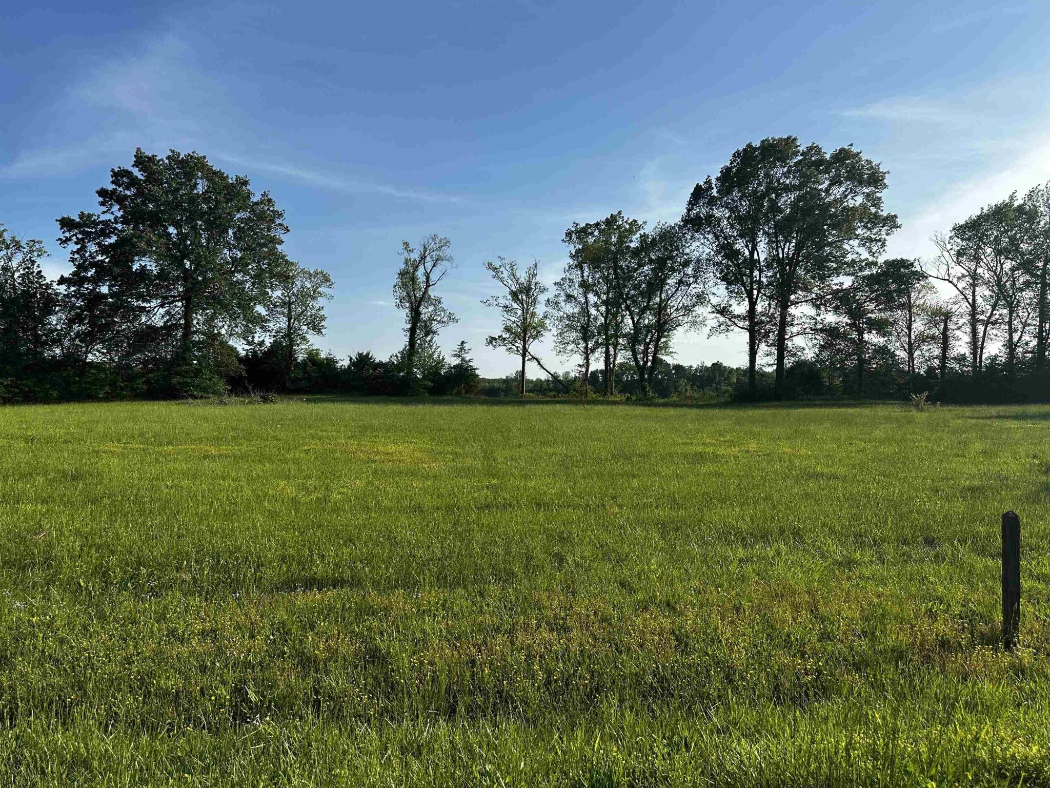 Image 2 Image 2