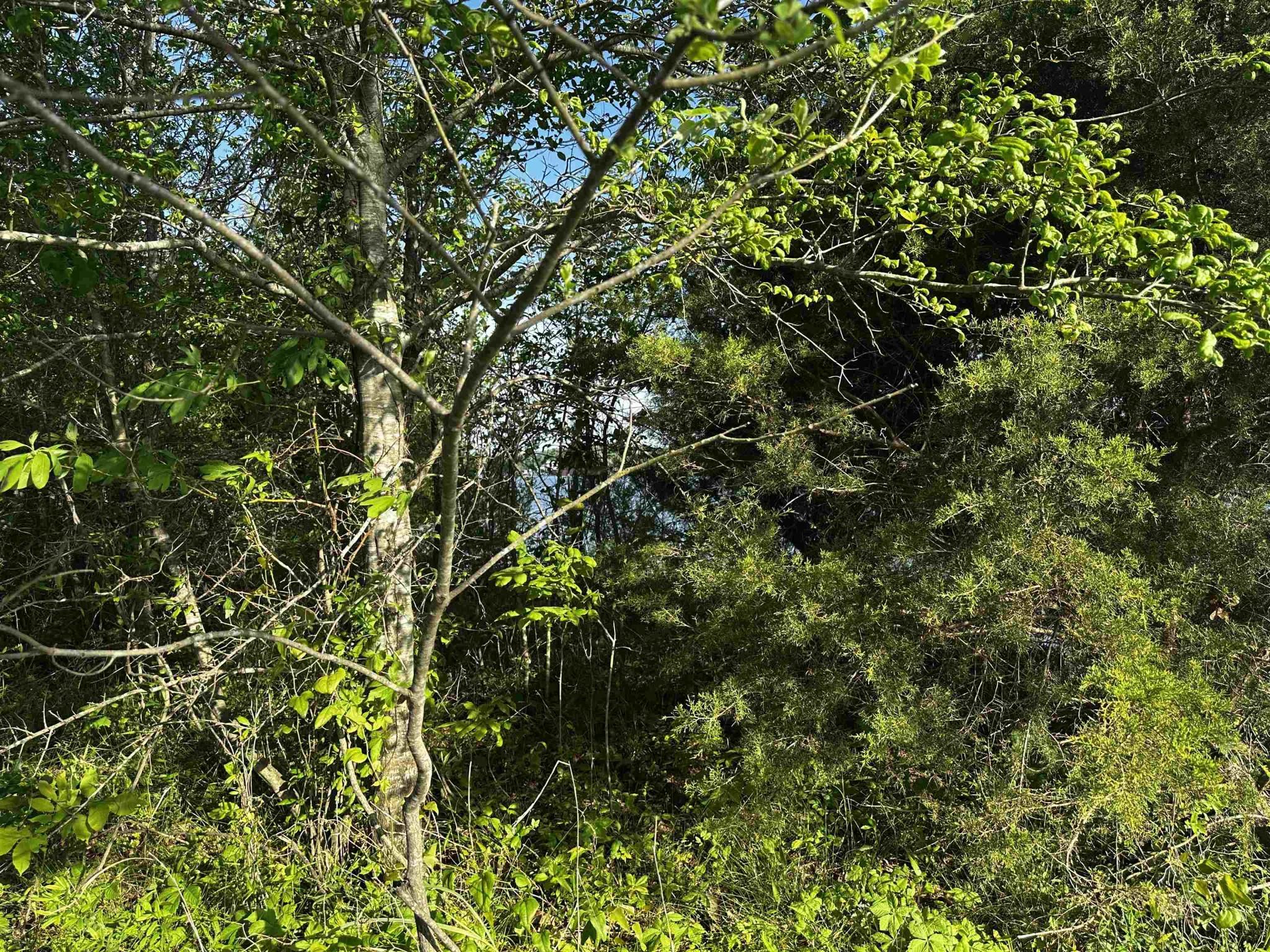 Image 3 Image 3