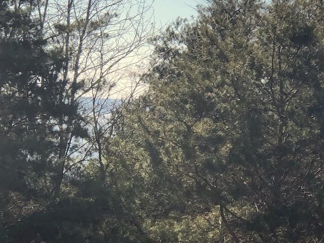 Image 3 Image 3