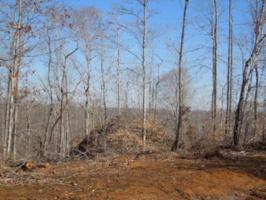 20 .65 Ac. Thunder Bay Trail