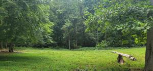 0 Johnsons Ridge Rd.