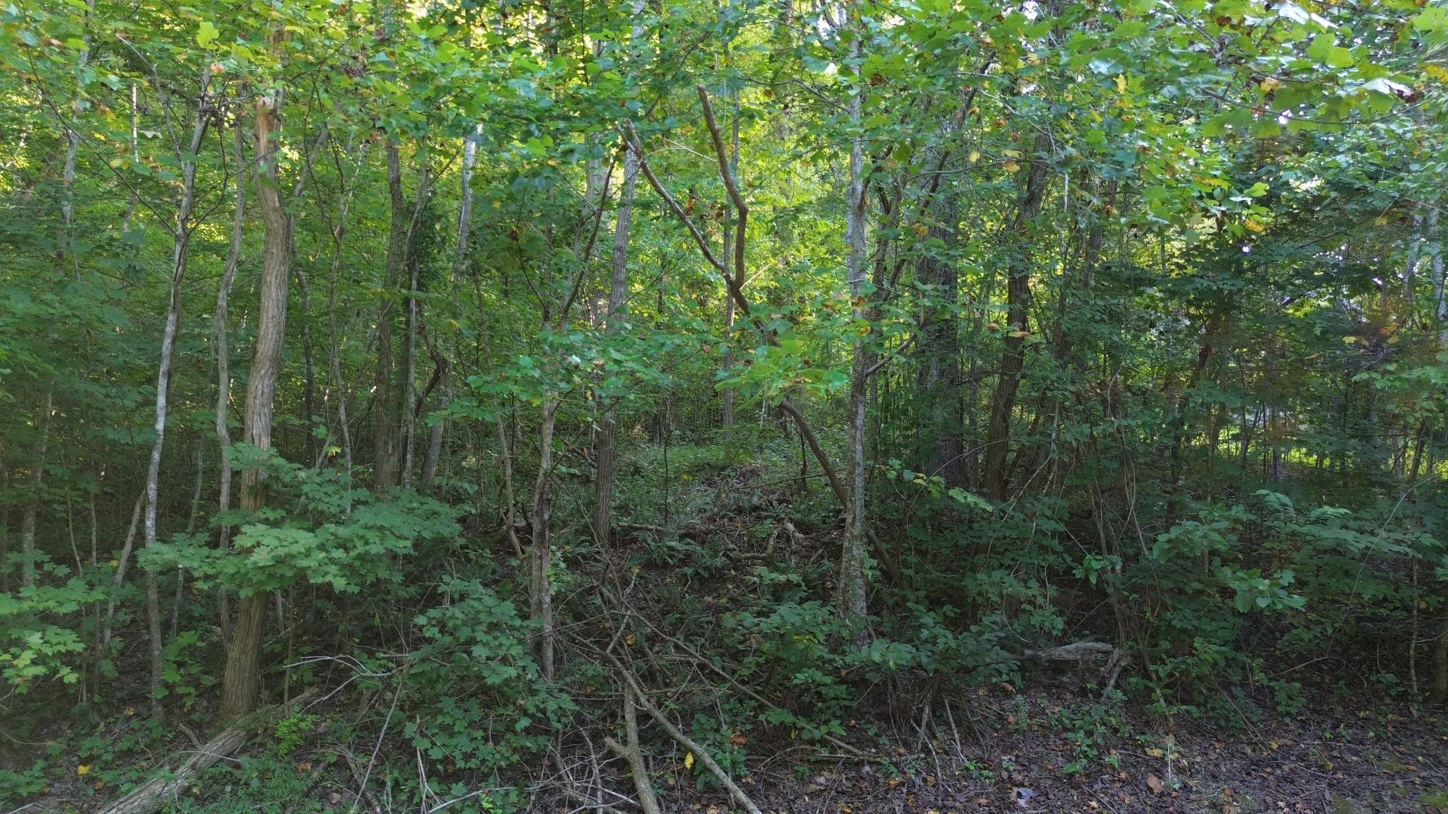 Image 3 Image 3