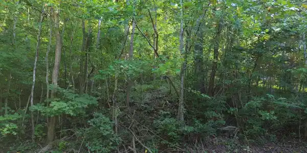 Image 3 Image 3