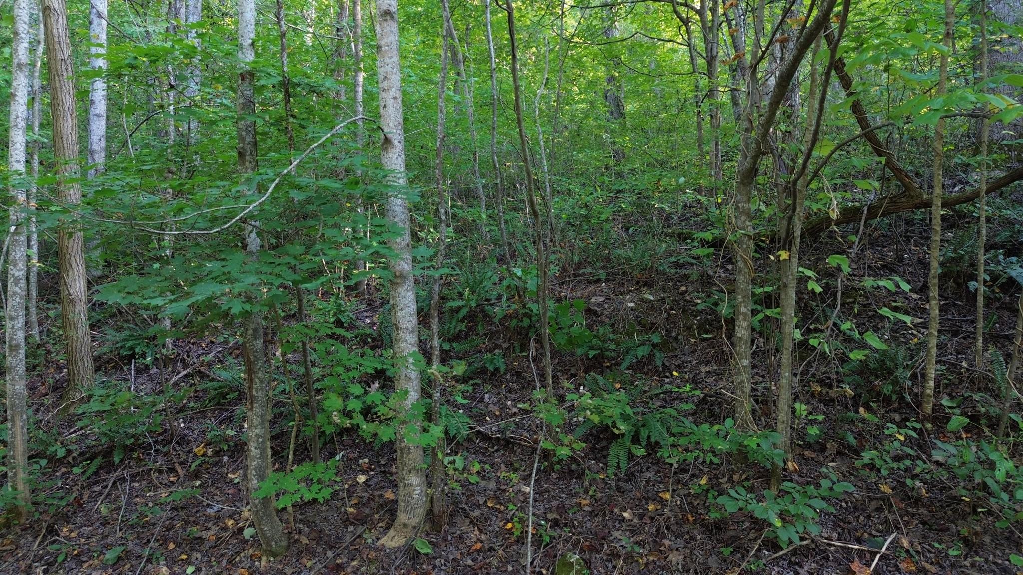 Image 4 Image 4