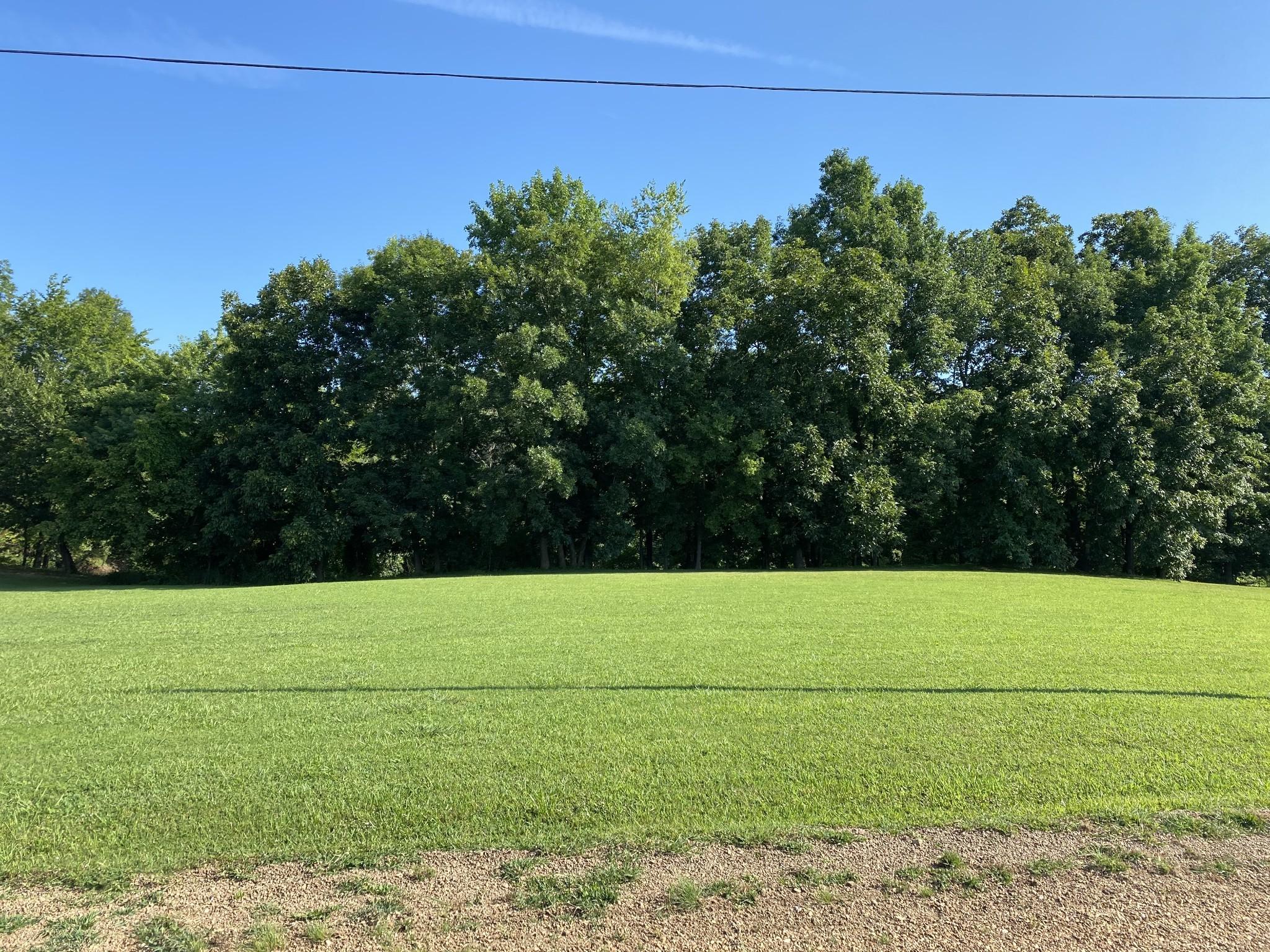 Image 1 Image 1