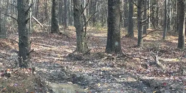 360 Bootleg Bend
