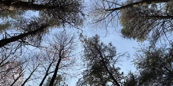 Image 2 Image 2