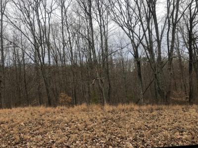 99 Deepwood Dr