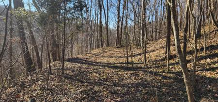 0 Center Hill Shores Dr