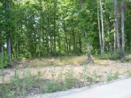3132 Shiloh Lane