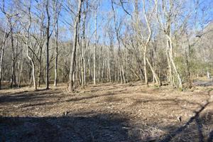 475 Roddy Hollow Rd