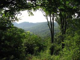0 Dale Ridge Rd