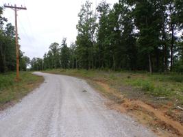44 Overlook Trail