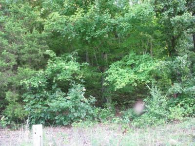 0 West Little Richland Rd