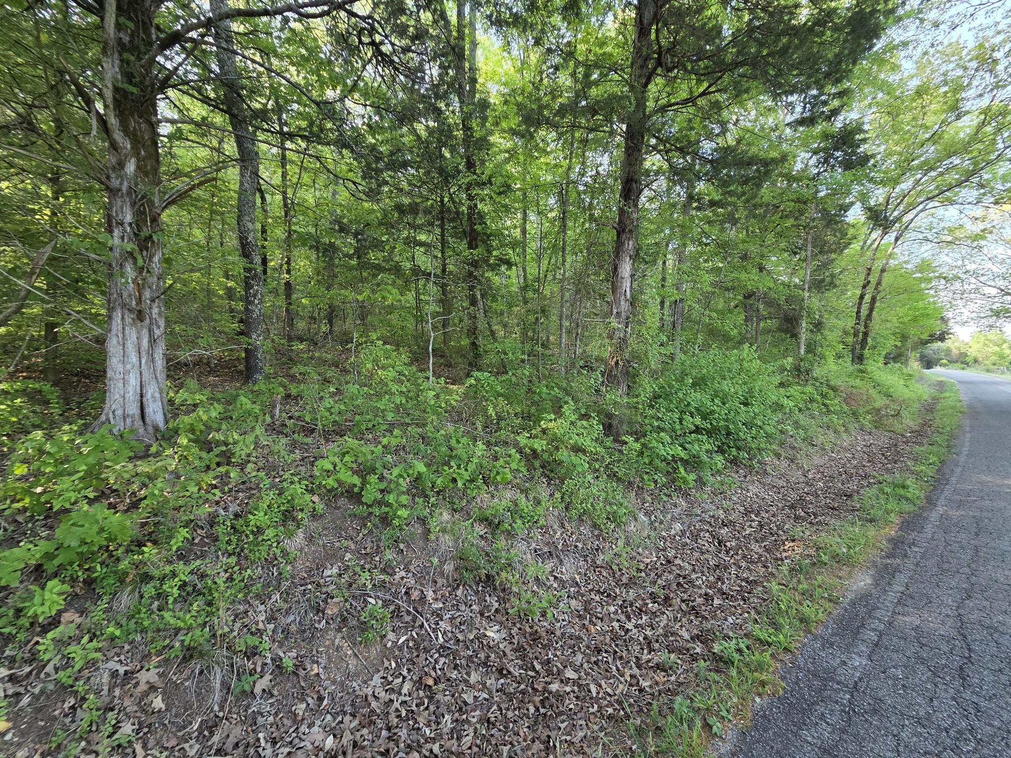 Image 1 Image 1