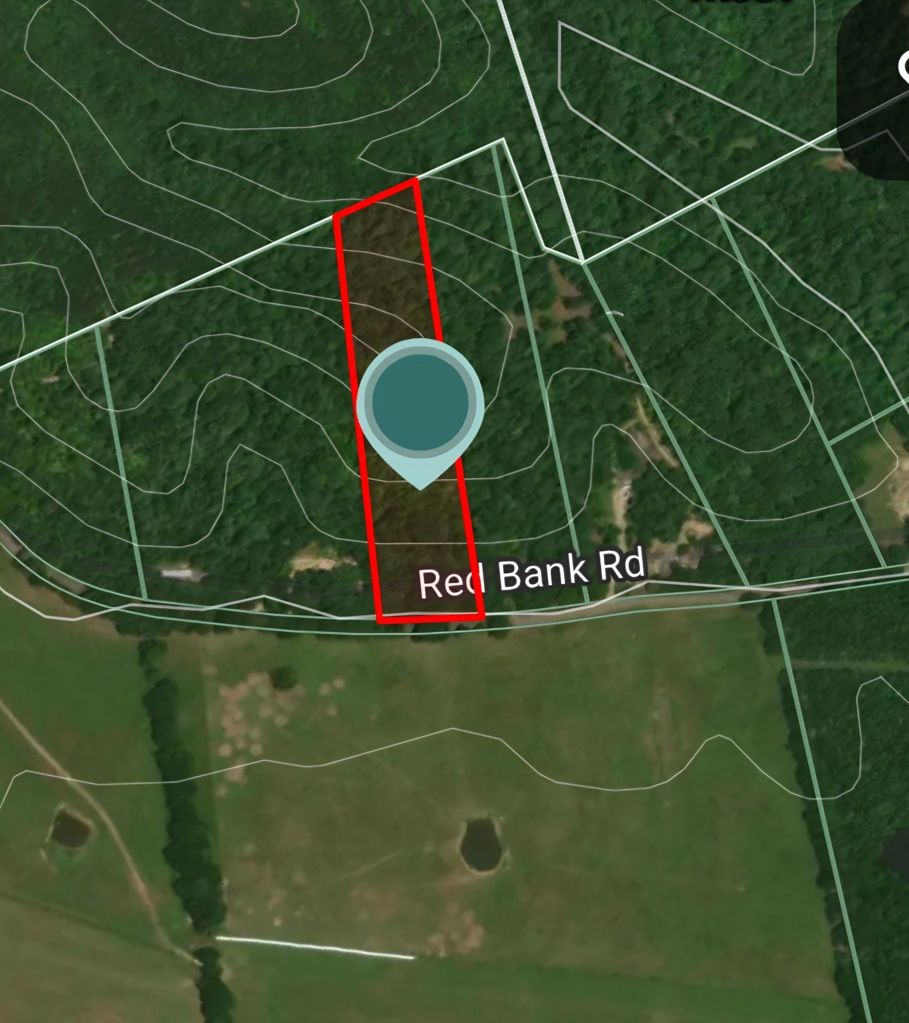 Image 4 Image 4