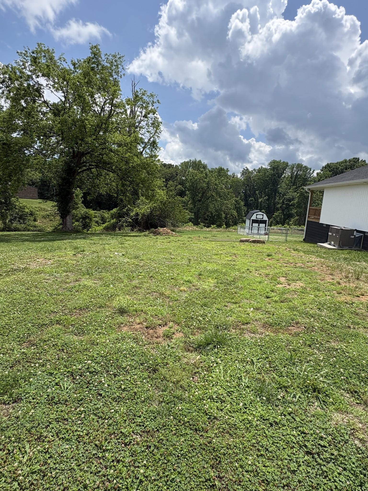 Image 1 Image 1