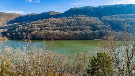 10495 Mullins Cove Road