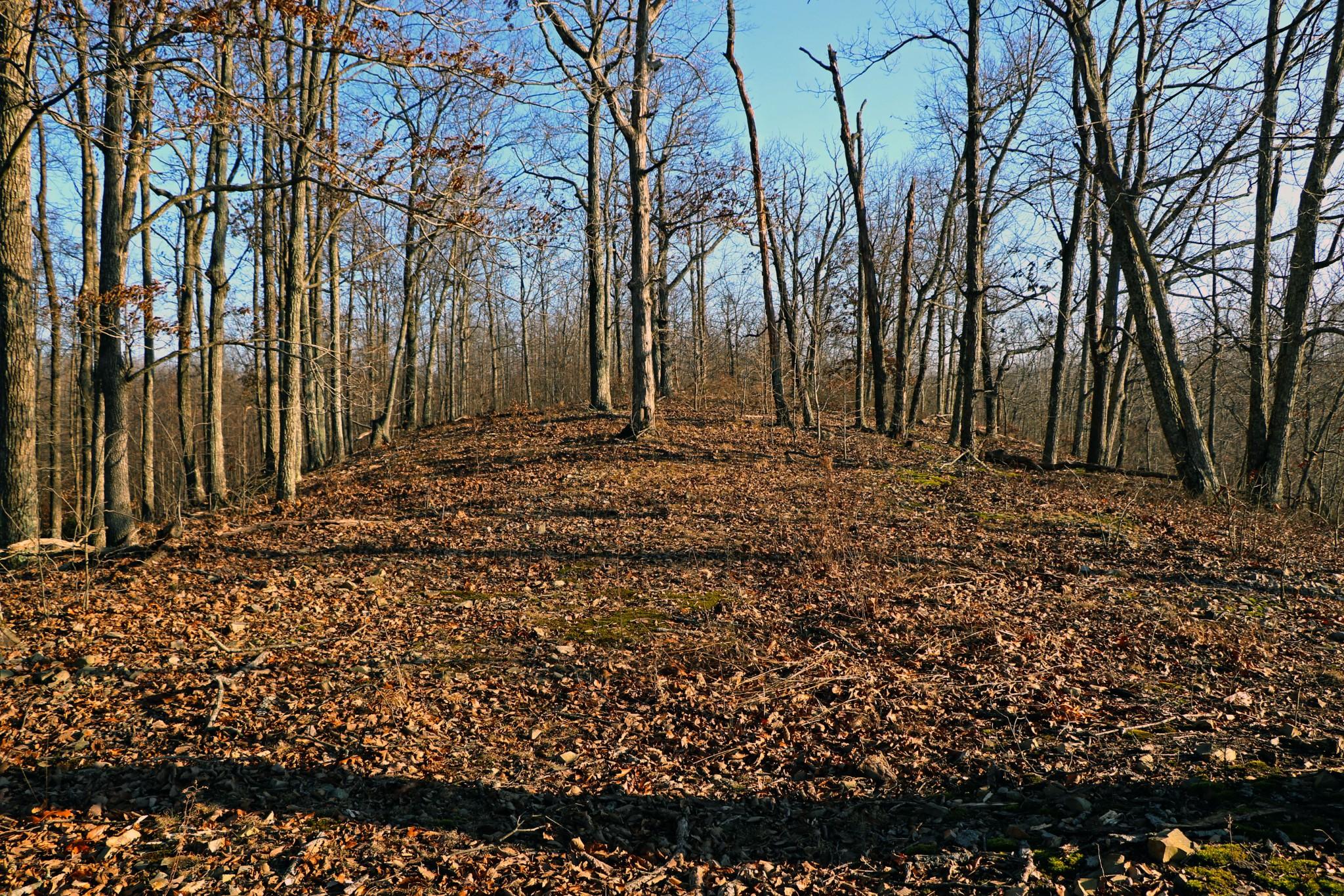 Image 4 Image 4
