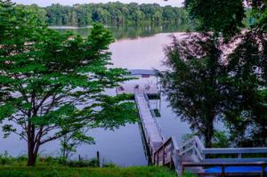 501 Flower Lane Dr 
