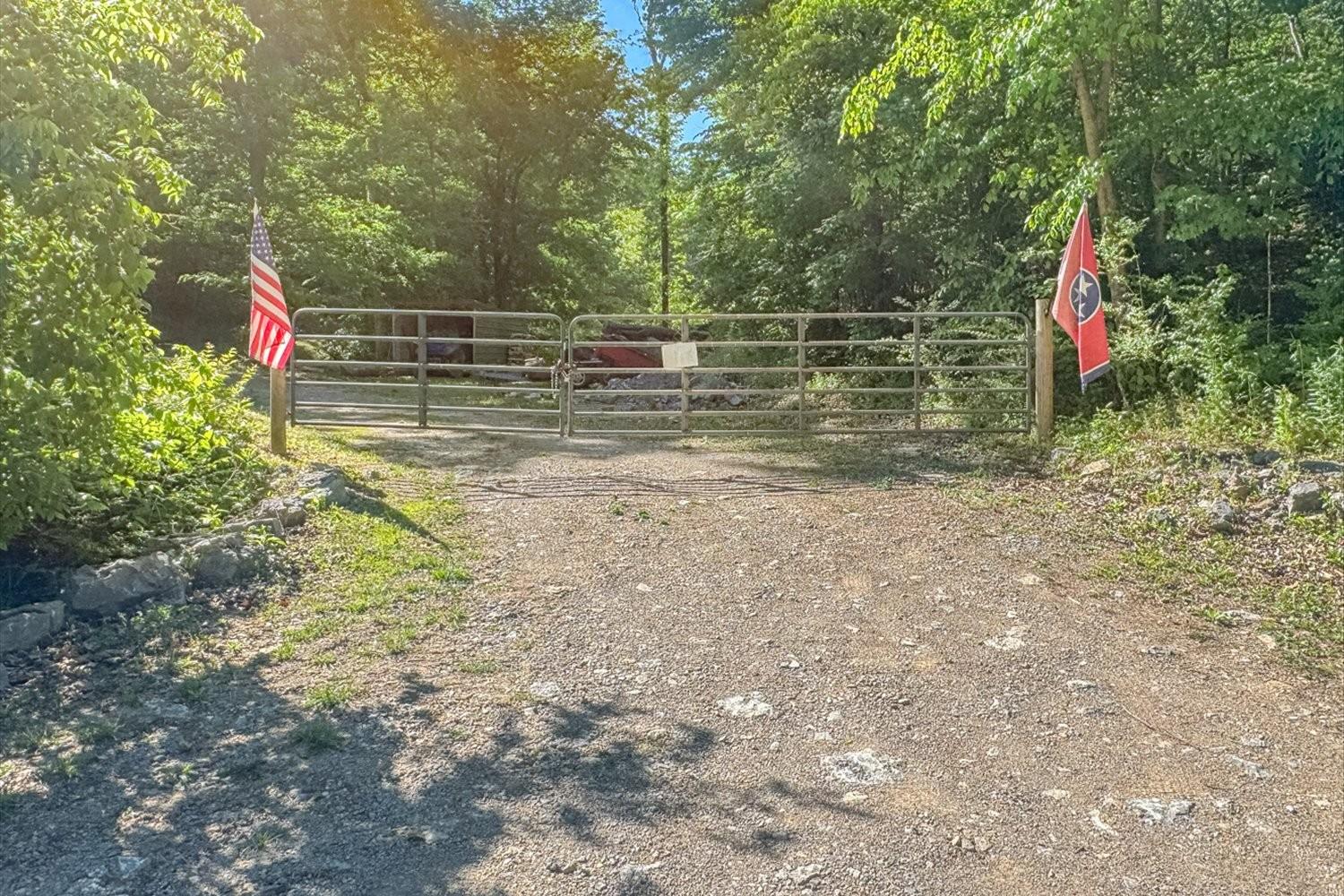 Image 4 Image 4
